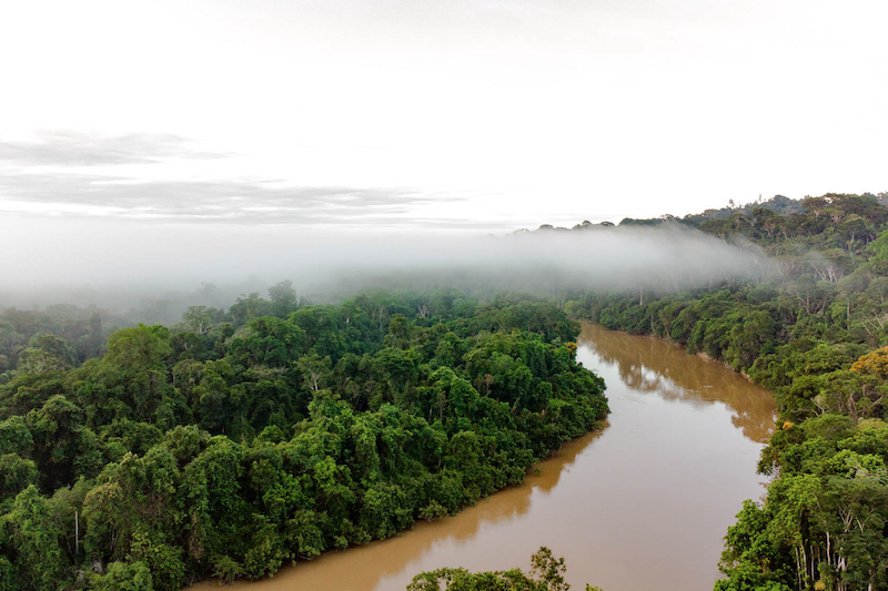 As Plantações de Soja e o Impacto Ambiental causado na Água e Solo