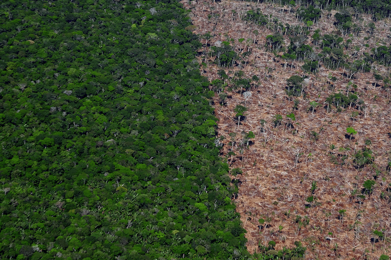 Deforestation in  Rainforest Threatens Indigenous Lands - The New  York Times