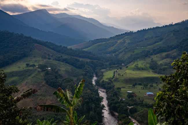 View of the Pato River valley from the Miravalle reintegration camp, January 2024. (Alejandro Jaramillo)