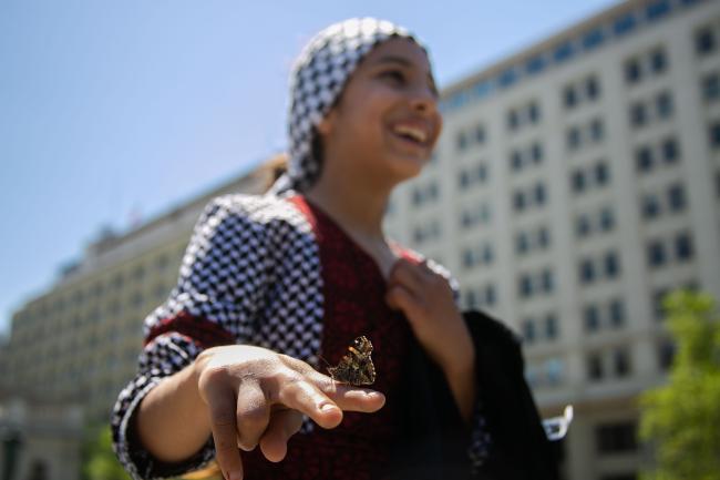 A butterfly perches on the hand of a young girl during a demonstration in solidarity with Gaza in Santiago. (Folil Pueller)