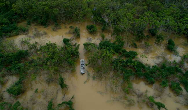 A flooded area in the Ituí river region where the searches for Dom Phillips and Bruno Pereira were concentrated. (José Medeiros / Agência Pública)