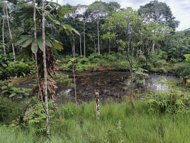 Abandoned oil pits in Shushufindi, Ecuador's oil-rich northern Amazon. (Joshua Holst)