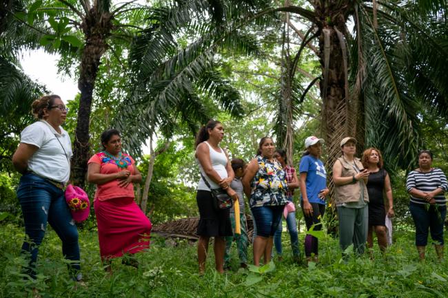 Coastal Women in Rebellion and the organization Water and Life during a tour of oil palm plantations in Pijijiapan. The women have denounced environmental effects caused by monocrops. (Aldo Santiago)