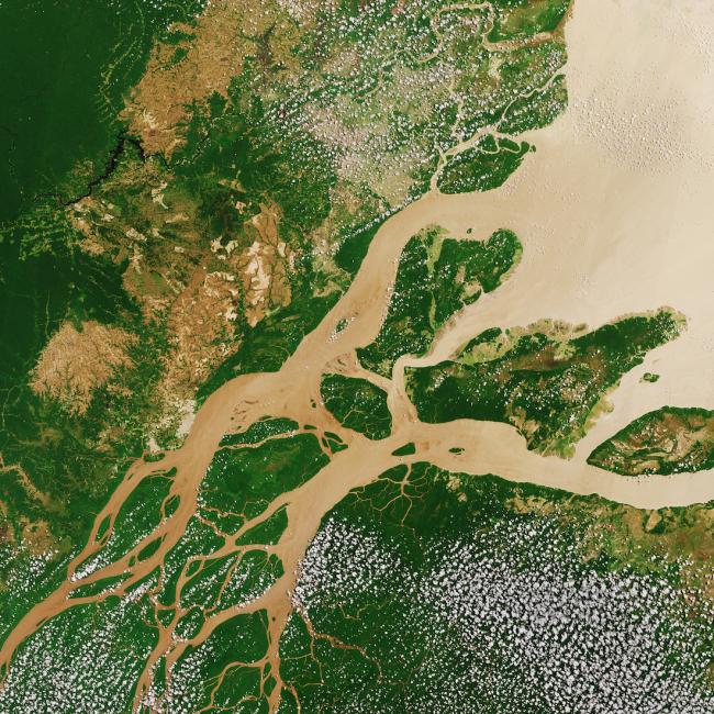 An aerial view of the Amazon River in northern Brazil in 2017 (European Space Agency / CC BY-SA IGO 3.0)