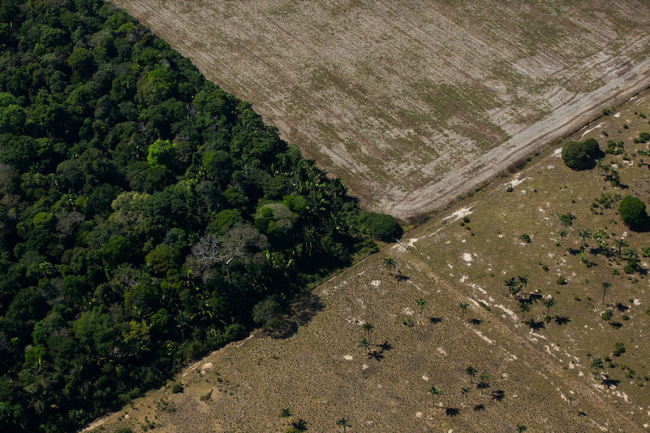 Una área deforestada cerca de Porto Velho, Rondônia, Brasil, 2020. (Bruno Kelly / Amazônia Real / CC BY-NC-SA 2.0)