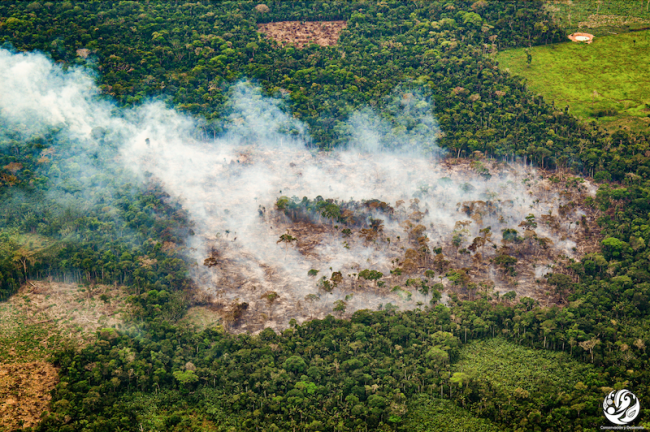 Incendios y deforestación en la reserve indígena Nukak. (Fundación para la Conservación y Desarrollo Sostenible)