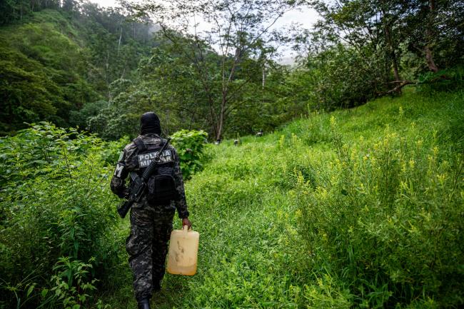 Een militaire politie-eenheid in Honduras voert een coca-uitroeiingsoperatie uit in het departement Colón. (Fritz Pinnow)