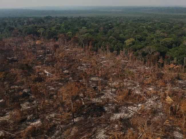 Land cleared for ranching in the Brazilian Amazon. In the 1970s and 1980s the military dictatorship subsidized large tracks of land for private companies including Volkswagen (Amazônia Real / Wikimedia Commons / CC BY 2.0