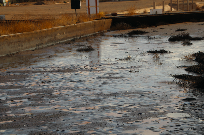 EET S.A. retaining basin stores hydrocarbons and sludge in open air. The basin has been used since a fire in 2016. During a 2023 site visit, the toxic remnants appeared abandoned. (Patricia Rodríguez / Earthworks)