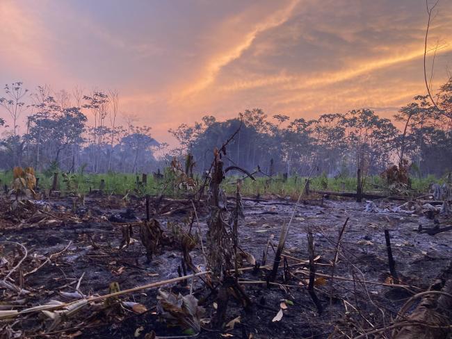 Los bosques que rodean Asunción de Quiquibey ardieron durante más de un mes en noviembre y diciembre de 2023. Con sólo 10 guardaparques para toda la reserva, las comunidades indígenas tuvieron que controlar los incendios sin equipamiento. (Benjamin Swift)