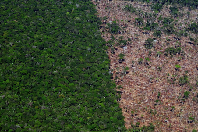 Desmatamento em Careiro da Várzea, estado do Amazonas, próximo às terras indígenas do povo Mura, 2022. (Alberto César Araújo / Amazônia Real / CC BY-NC-SA 2.0)