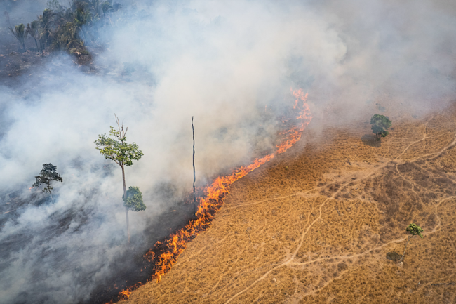 Incêndios florestais no território do povo Kayapó em Novo Progresso, Pará, na Amazônia brasileira, setembro de 2022. (Cícero Pedrosa Neto / Amazônia Real / CC BY-NC-ND 2.0)