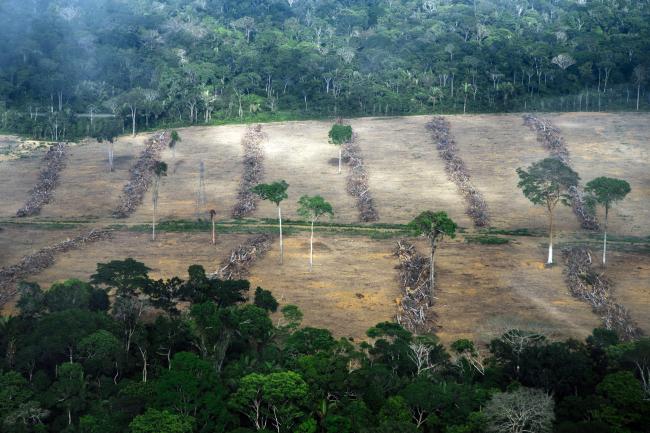 Destruction from soy plantations in the municipality of Belterra, August 26 (Christian Braga / ClimaInfo)