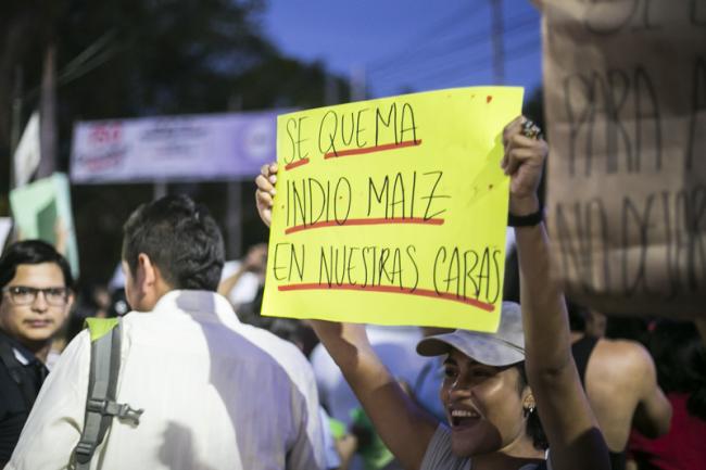 "Indio Maíz burns in our faces" S.O.S Indio Maíz protestors on April 10, 2018 (Jorge Mejía Peralta/Flickr).