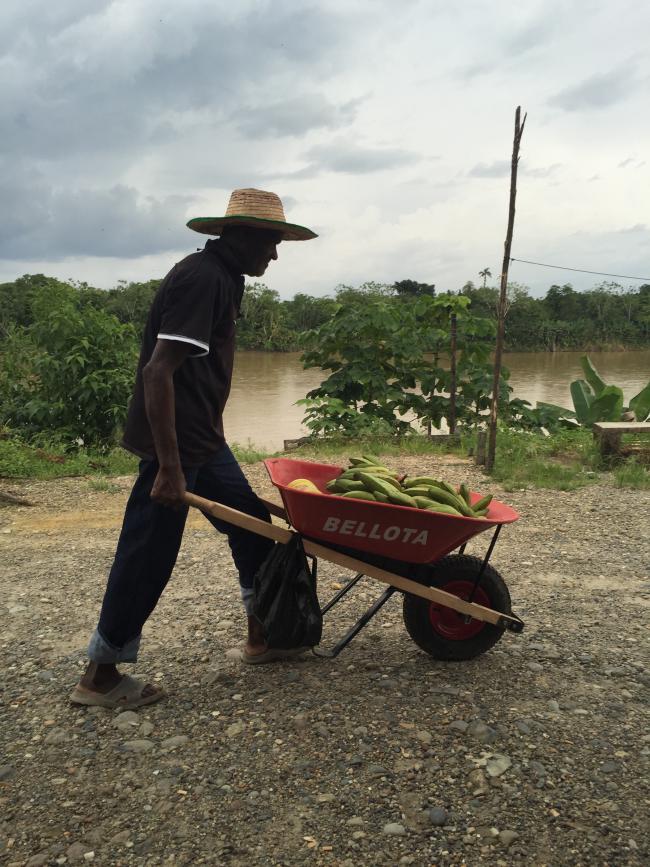 Small-scale agriculture along with artisanal mining are key to survival in the Chocó (Photo by Adriana Cardona-Maguigad)
