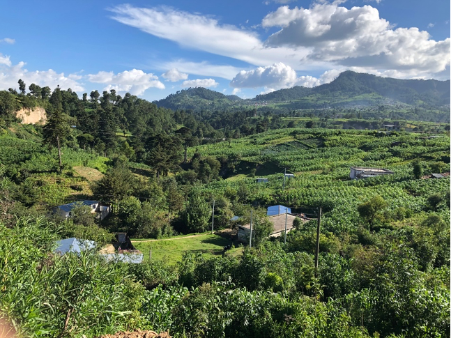 Vista de Nahualá, Sololá, una zona rural de Guatemala alejada de los bastiones urbanos de Semilla. (Emily Taylor)
