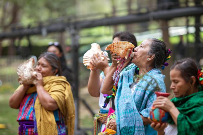 Mujeres indígenas y parteras realizan una ceremonia de Tlalmanalli en la Ciudad de México en 2021. (ONU Mujeres / Dzilam Méndez / Flickr / CC BY-NC-ND 2.0)