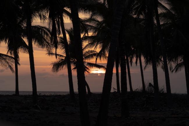 The paradise-like beach of Xayakalan, which before its recuperation was used by Narcos, today can be enjoyed by the inhabitants of Ostula. (Santiago Navarro F)