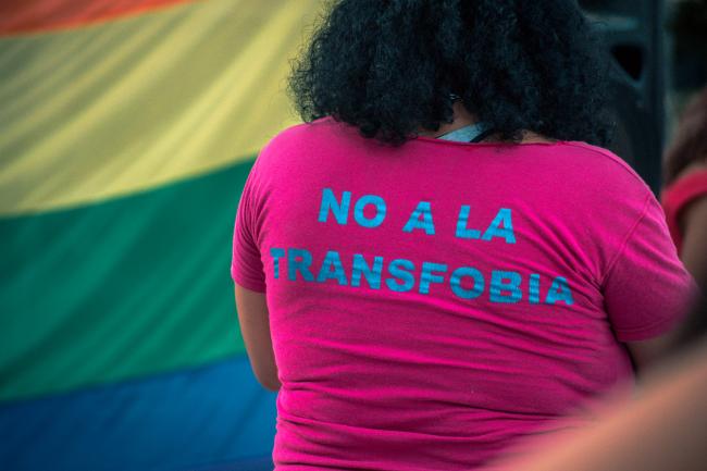 Day for the Promotion of the Rights of Trans People in Santa Fe, Argentina in 2019 (Titi Nicola / CC BY-SA 4.0)