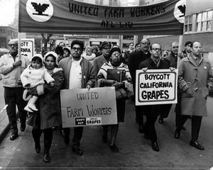 Grape boycotters, Toronto. Credit: The Hamilton Spectator/Wayne State University