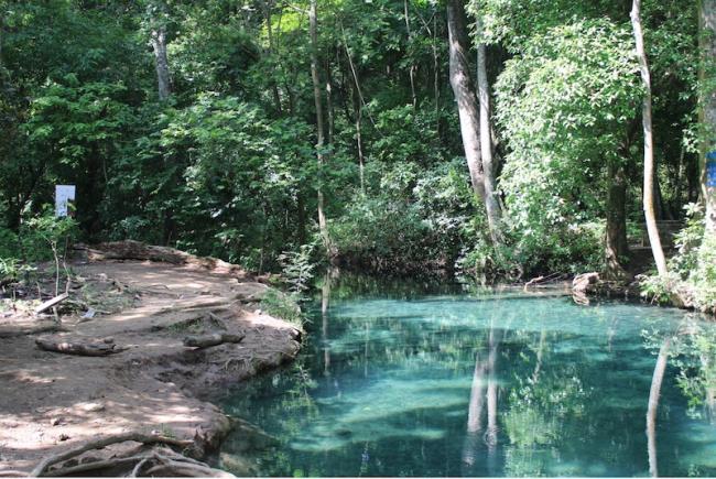 El manantial al que canta el músico vallenato Hugues Martínez Gámez, situado en la reserva de bosque tropical seco de Cañaverales. (Emma Banks)