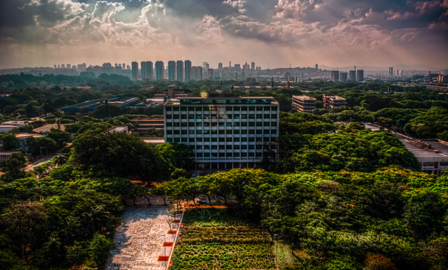 Universidade de São Paulo (Rafael Vianna Croffi / CC BY 2.0)