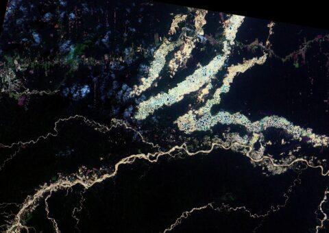 The Amazon's Invisible Crisis: How Environmental Crime Is Reshaping Humanitarian Emergencies