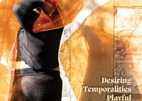 Desiring Temporalities + Playful Aesthetics Web Collection