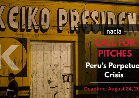 Call for Pitches | Peru’s Perpetual Crisis